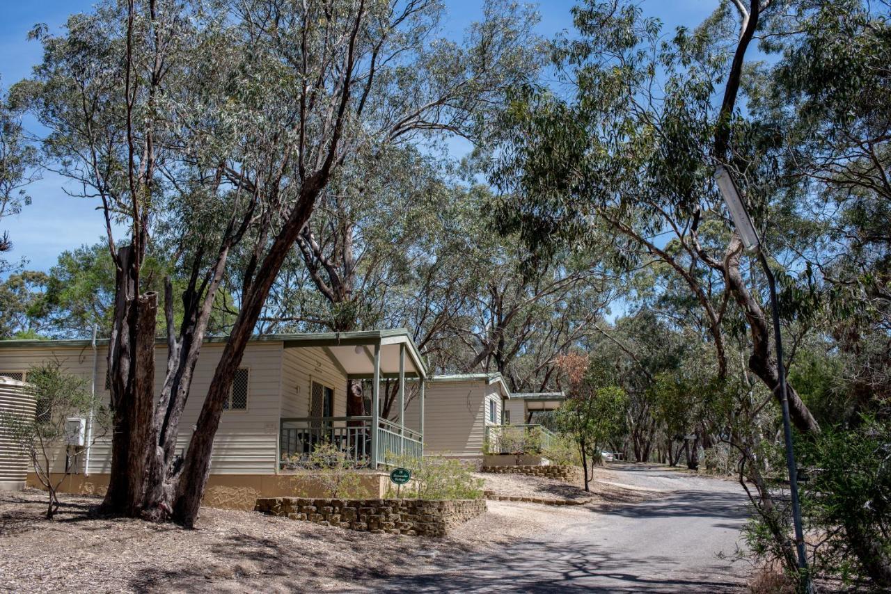Belair National Park Holiday Park Eksteriør billede