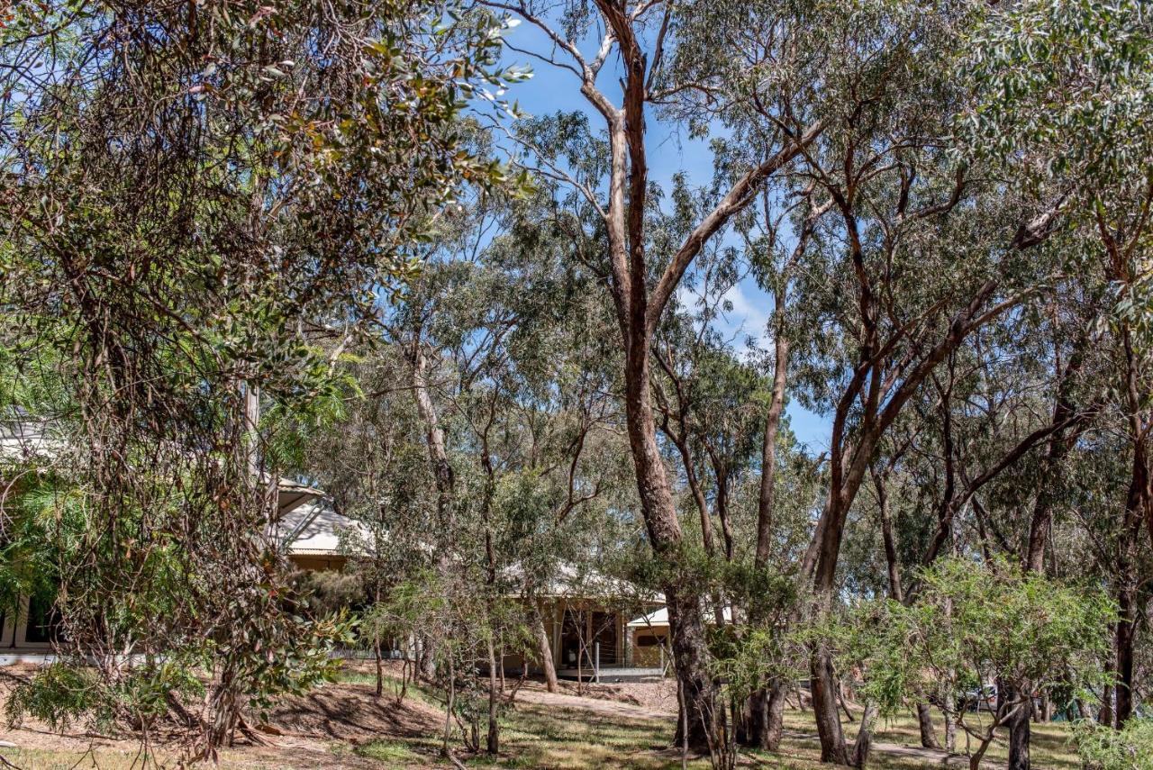 Belair National Park Holiday Park Eksteriør billede